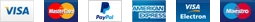 Visa, Mastercard, PayPal, American Express, Visa Electron and Maestro logos